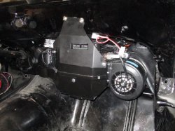 190222 79 Pontiac Trans Am (7).JPG